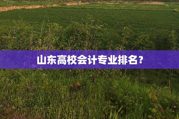 山东高校会计专业排名？