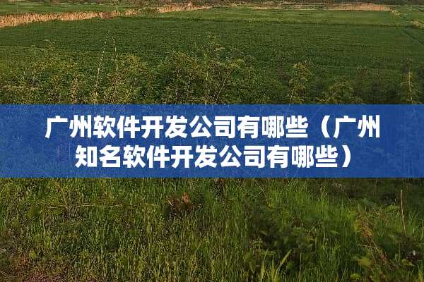 广州软件开发公司有哪些（广州知名软件开发公司有哪些）