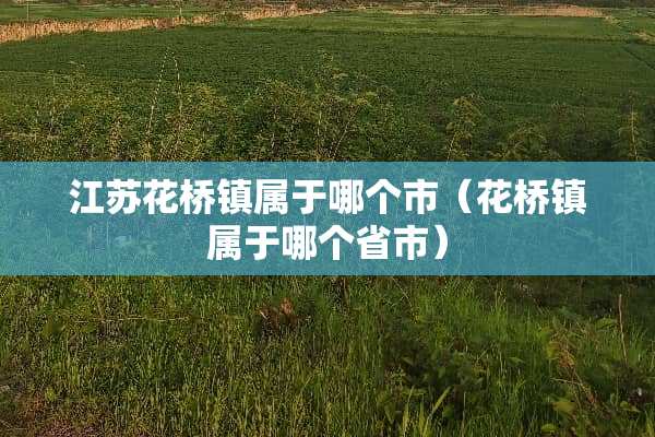 江苏花桥镇属于哪个市（花桥镇属于哪个省市）