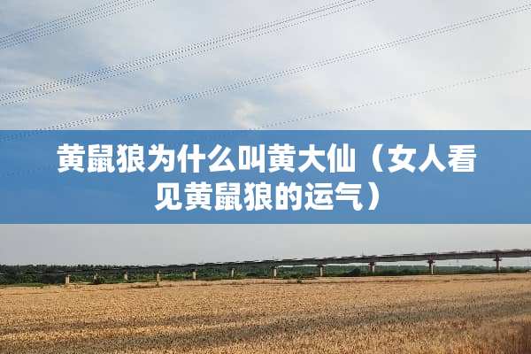 黄鼠狼为什么叫黄大仙（女人看见黄鼠狼的运气）