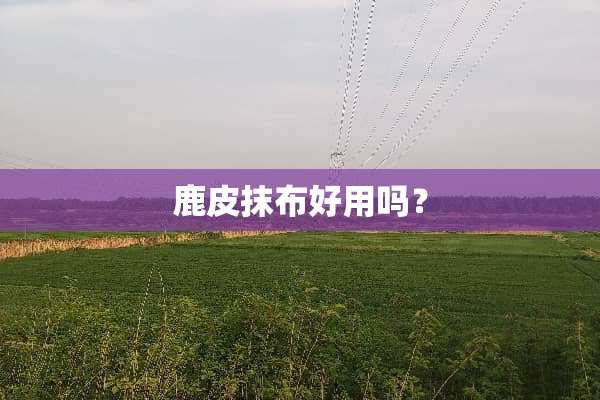 鹿皮抹布好用吗？