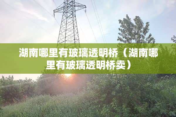 湖南哪里有玻璃透明桥（湖南哪里有玻璃透明桥卖）