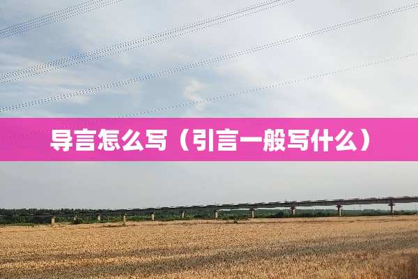 导言怎么写（引言一般写什么）