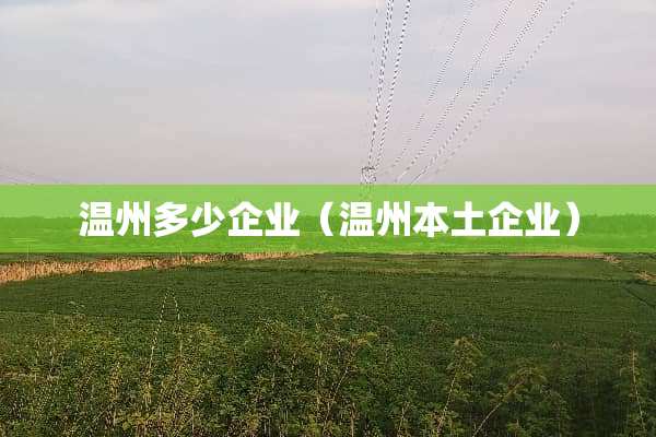 温州多少企业（温州本土企业）