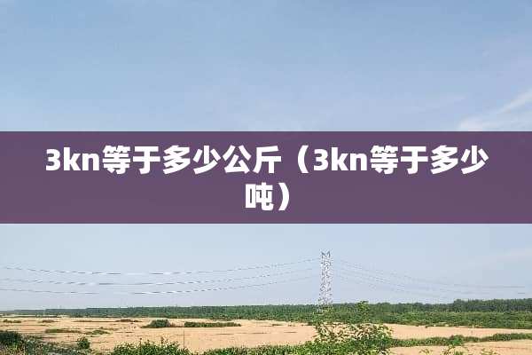 3kn等于多少公斤（3kn等于多少吨）