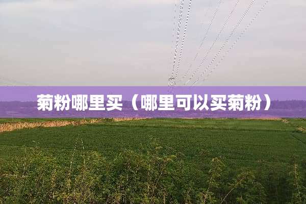 菊粉哪里买（哪里可以买菊粉）