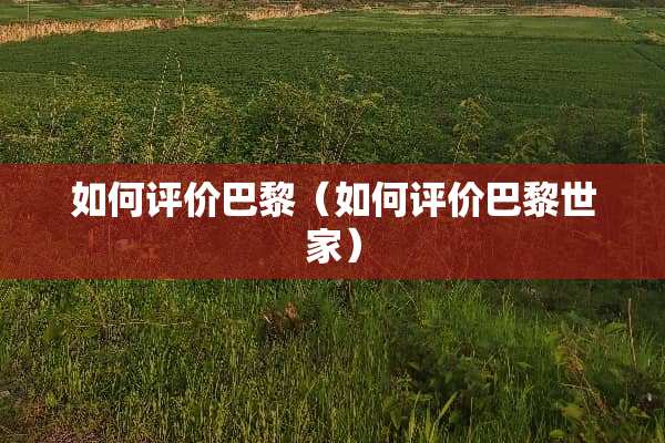 如何评价巴黎（如何评价巴黎世家）