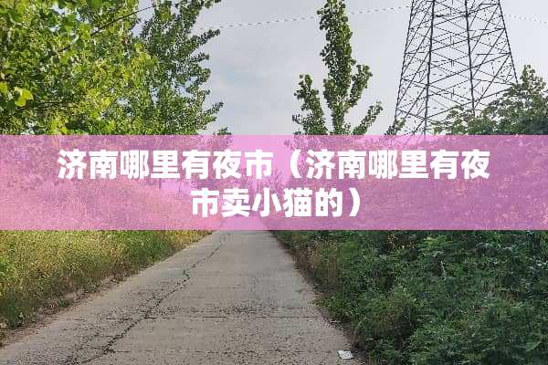 济南哪里有夜市（济南哪里有夜市卖小猫的）