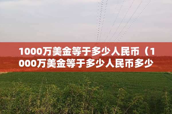 1000万美金等于多少人民币（1000万美金等于多少人民币多少）