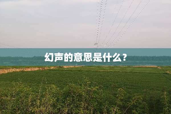幻声的意思是什么？