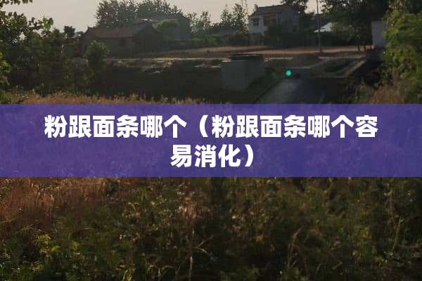 粉跟面条哪个（粉跟面条哪个容易消化）