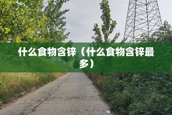 什么食物含锌（什么食物含锌最多）