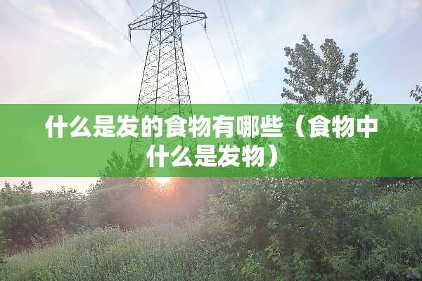 什么是发的食物有哪些（食物中什么是发物）
