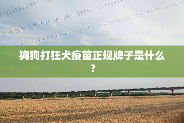 狗狗打狂犬**正规牌子是什么？
