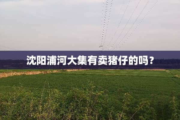 沈阳浦河大集有卖猪仔的吗？
