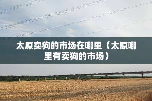 太原卖狗的市场在哪里（太原哪里有卖狗的市场）