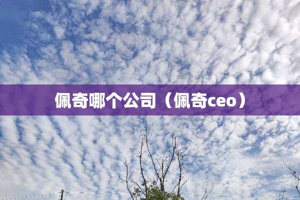 佩奇哪个公司（佩奇ceo）