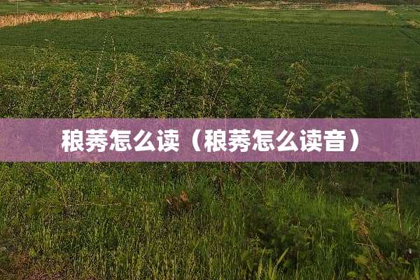 稂莠怎么读（稂莠怎么读音）