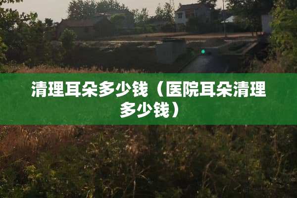 清理耳朵多少钱（医院耳朵清理多少钱）