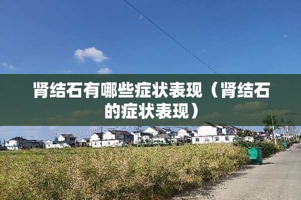 肾结石有哪些症状表现（肾结石的症状表现）