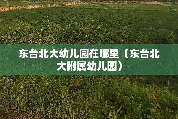 东台北大幼儿园在哪里（东台北大附属幼儿园）