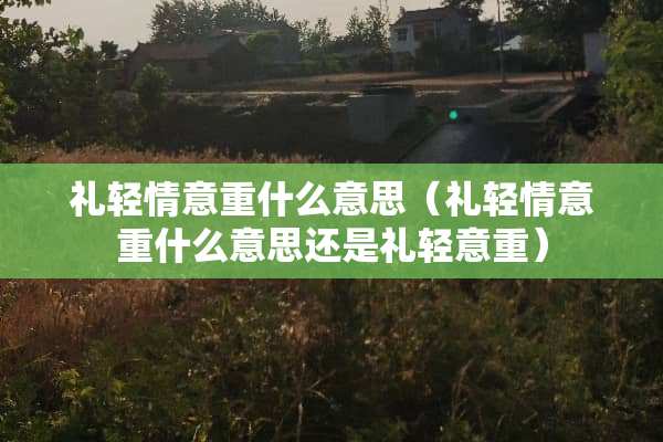 礼轻情意重什么意思（礼轻情意重什么意思还是礼轻意重）