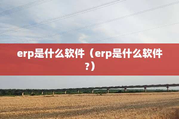 erp是什么软件（erp是什么软件?）