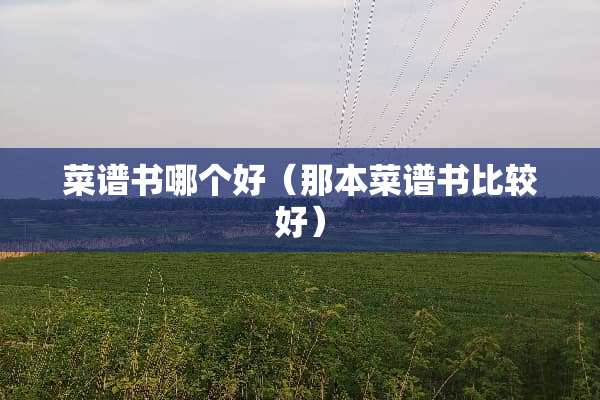 菜谱书哪个好（那本菜谱书比较好）