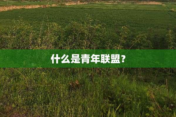 什么是青年联盟？