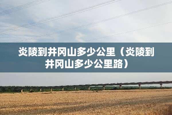 炎陵到井冈山多少公里（炎陵到井冈山多少公里路）