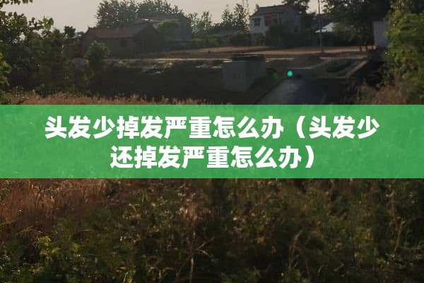 头发少掉发严重怎么办（头发少还掉发严重怎么办）