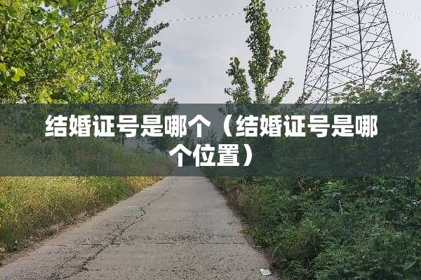 结婚证号是哪个（结婚证号是哪个位置）