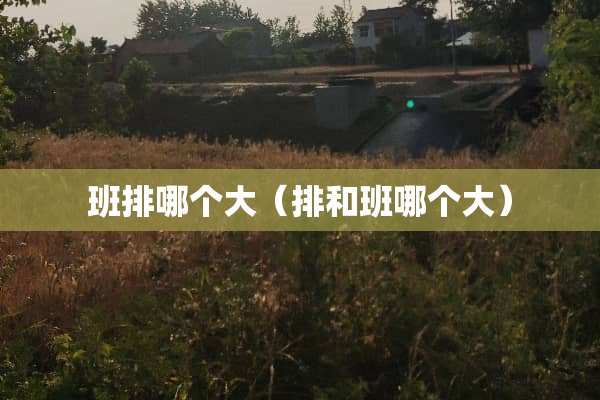 班排哪个大（排和班哪个大）