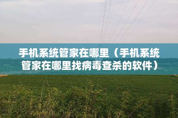 手机系统管家在哪里（手机系统管家在*****查杀的软件）
