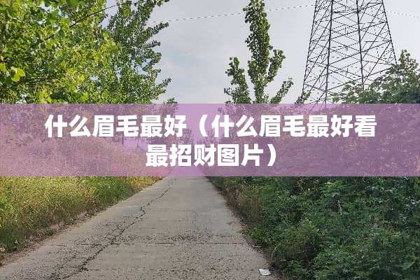 什么眉毛最好（什么眉毛最好看最招财图片）