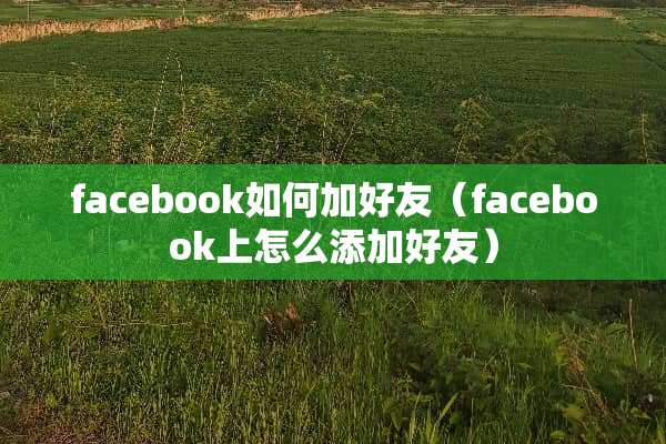 facebook如何加好友（facebook上怎么添加好友）