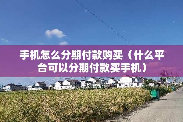 手机怎么分期付款购买（什么平台可以分期付款买手机）
