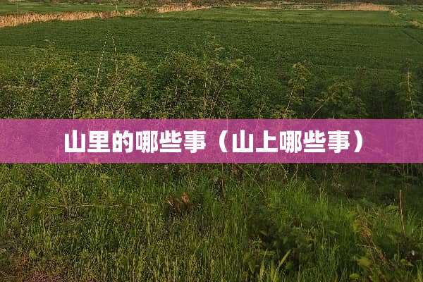 山里的哪些事（山上哪些事）
