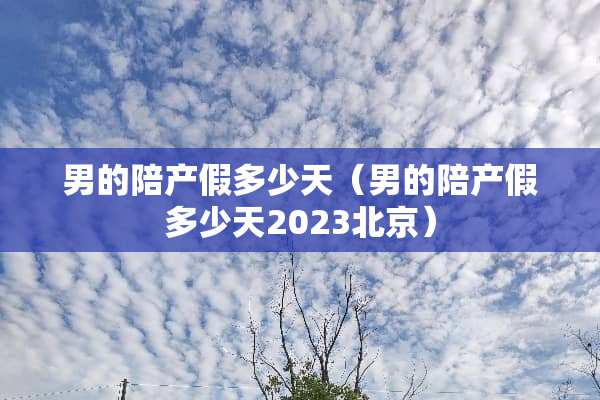 男的陪产假多少天（男的陪产假多少天2023北京）