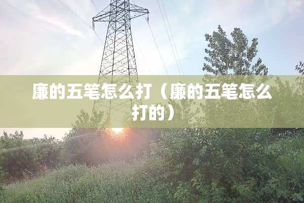 廉的五笔怎么打（廉的五笔怎么打的）