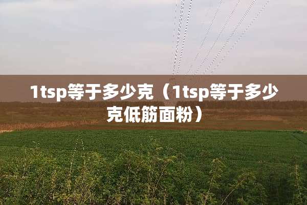 1tsp等于多少克（1tsp等于多少克低筋面粉）