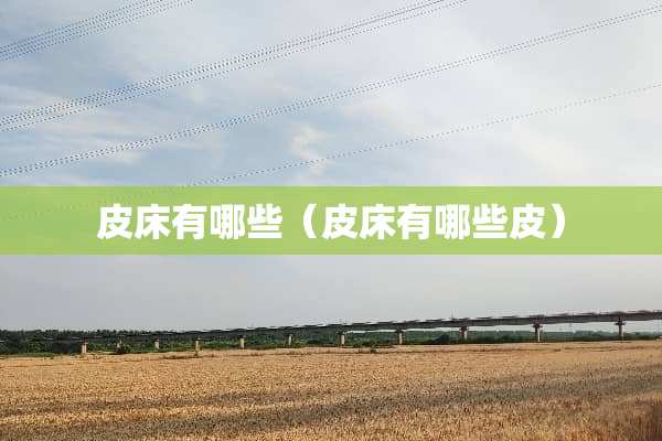 皮床有哪些（皮床有哪些皮）