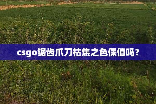 csgo锯齿爪刀枯焦之色保值吗？