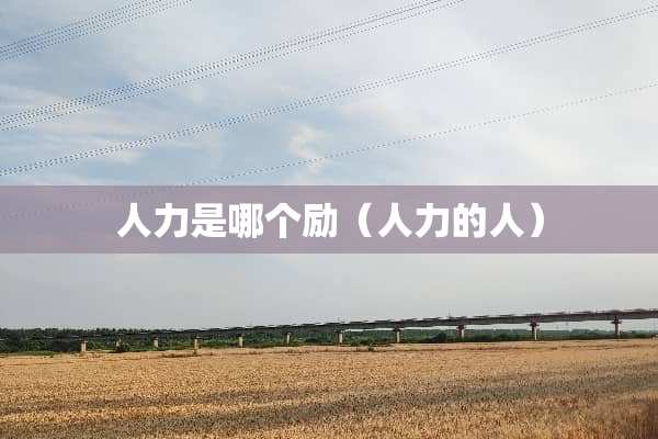 人力是哪个励（人力的人）