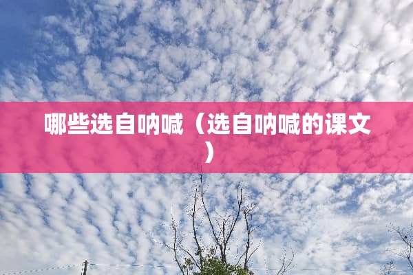 哪些选自呐喊（选自呐喊的课文）