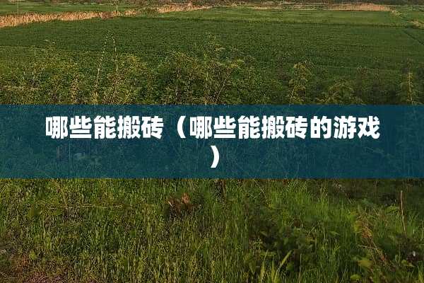 哪些能搬砖（哪些能搬砖的游戏）