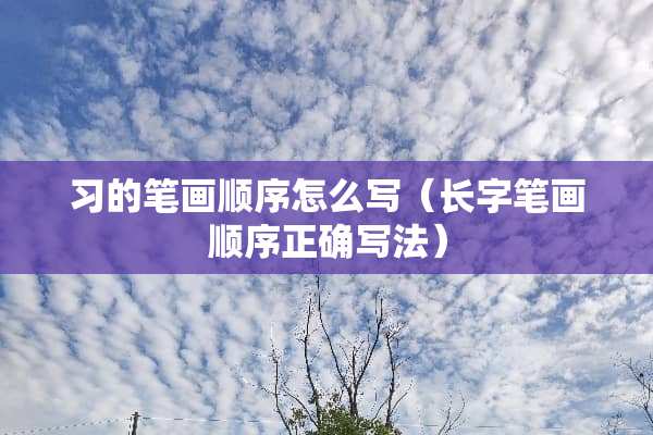 习的笔画顺序怎么写（长字笔画顺序正确写法）