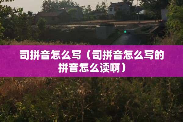 司拼音怎么写（司拼音怎么写的拼音怎么读啊）