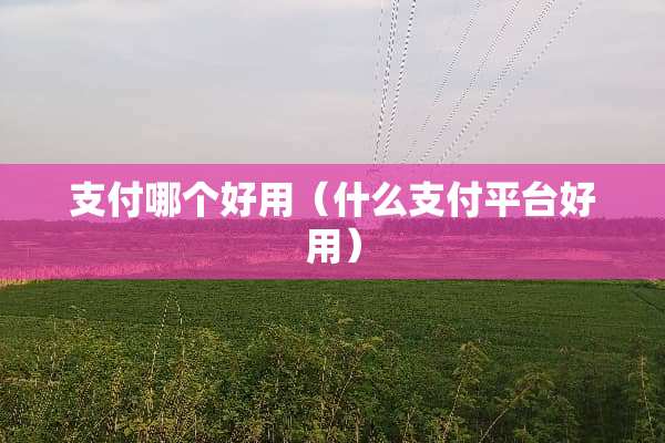 支付哪个好用（什么支付平台好用）