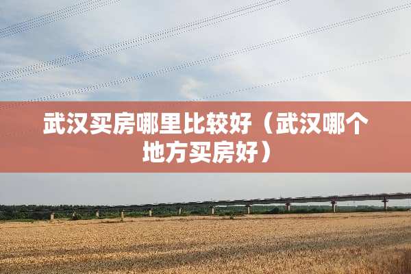 武汉买房哪里比较好（武汉哪个地方买房好）